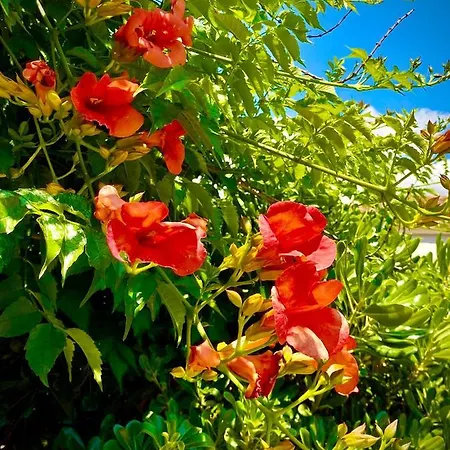 Bed & Breakfast Hylas Luxury 4*