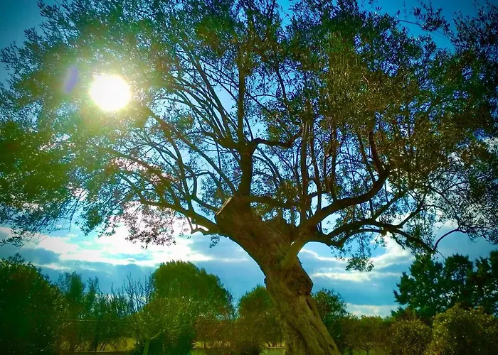 Hylas Luxury 4* Koilás