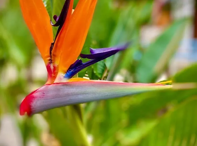 فندق مبيت وإفطار Hylas Luxury